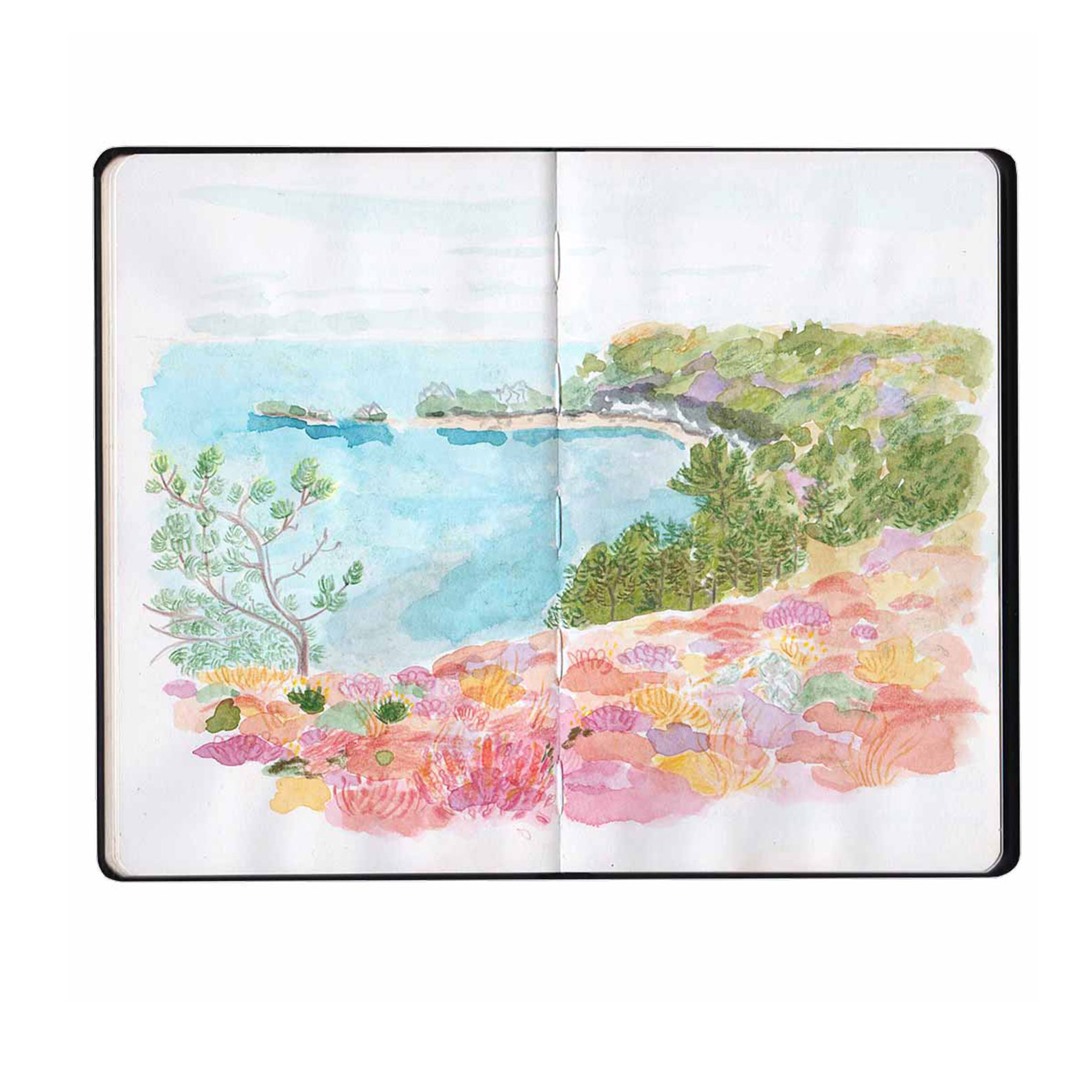 <i>Presqu'île de Crozon</i>, aquarelle et crayons, 2024