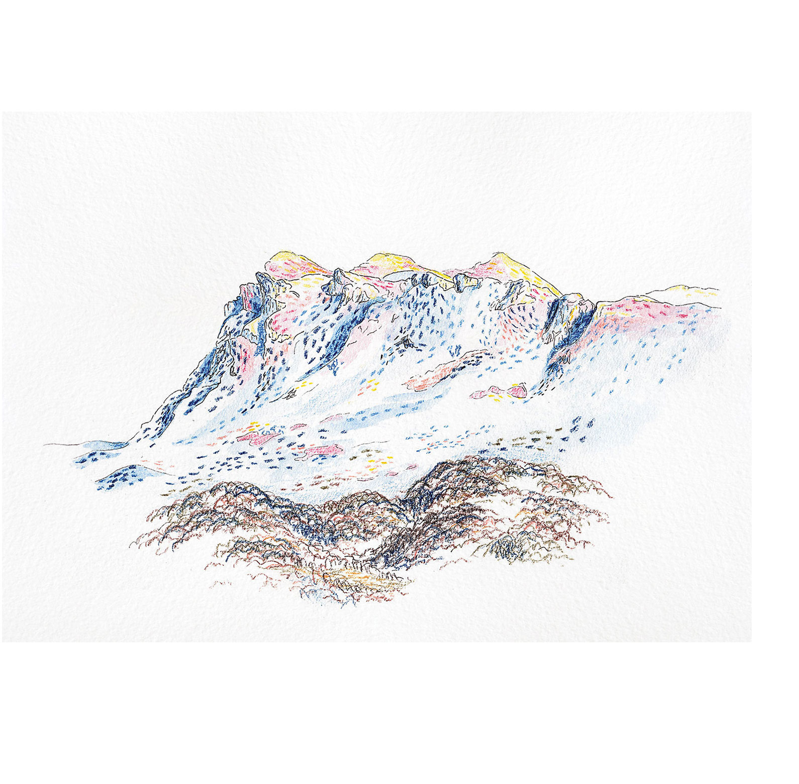 <i>Les trois becs</i>, pastels secs et aquarelle, 2023