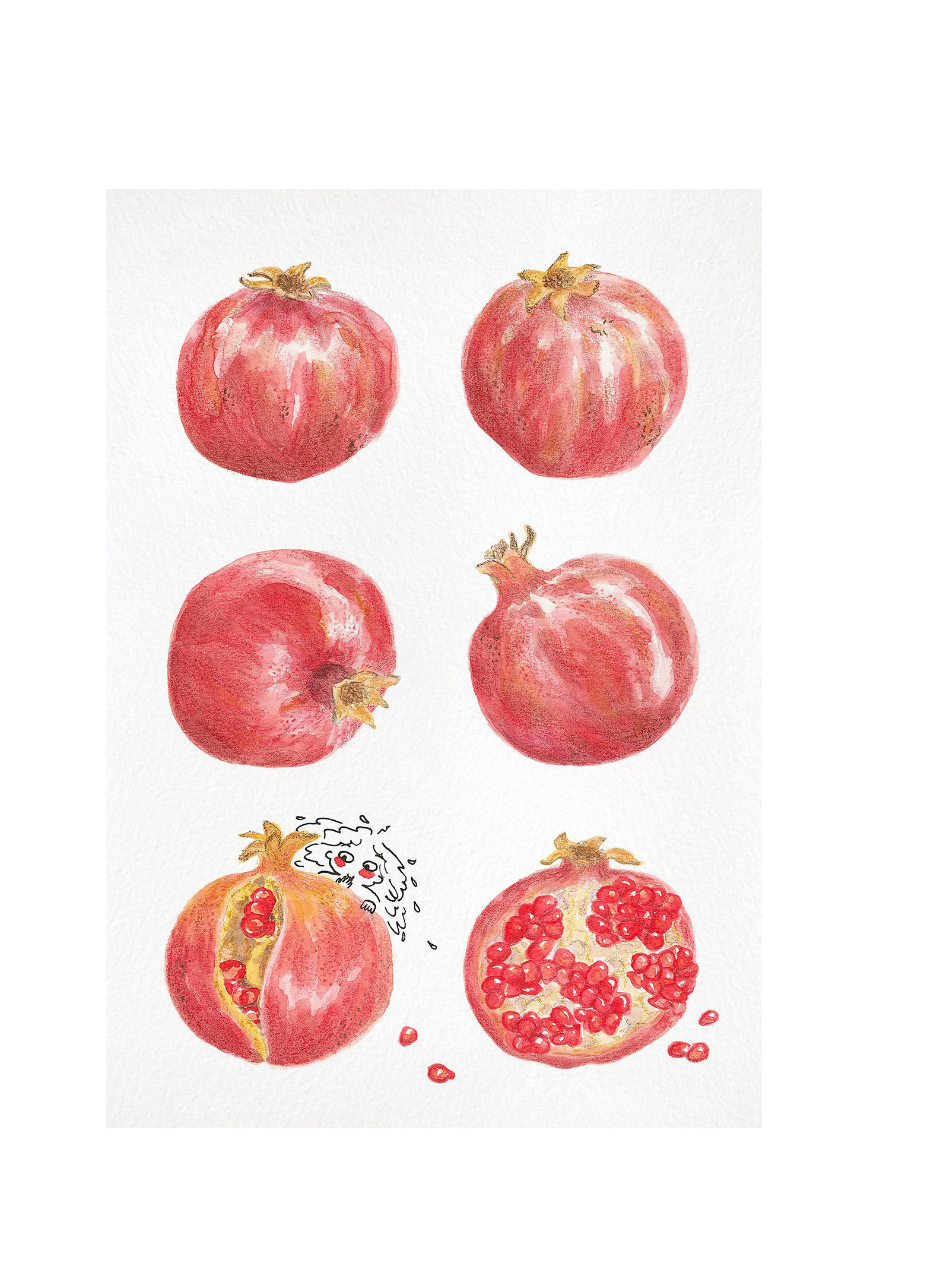 <i>Hot grenades</i>, aquarelle et crayons, 2024